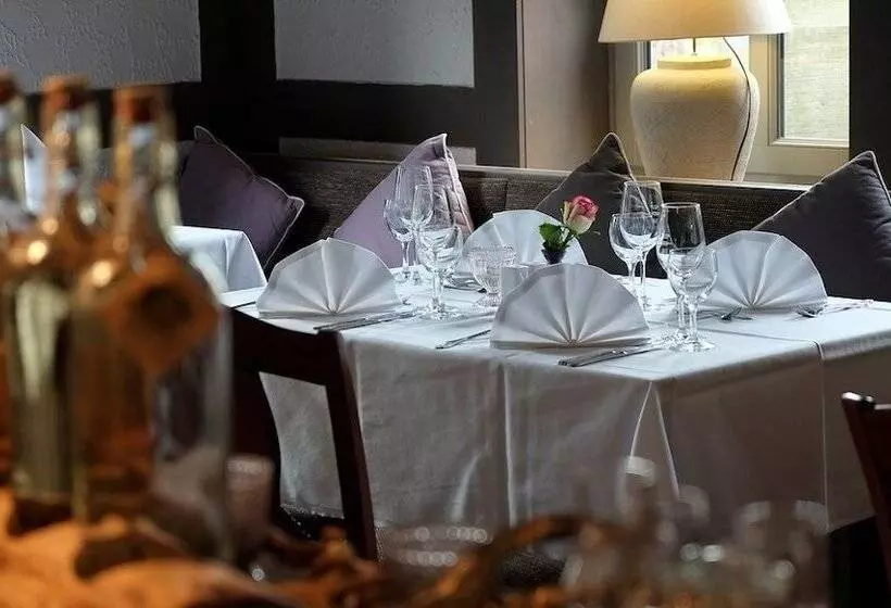 ホテル Brunnenhof International