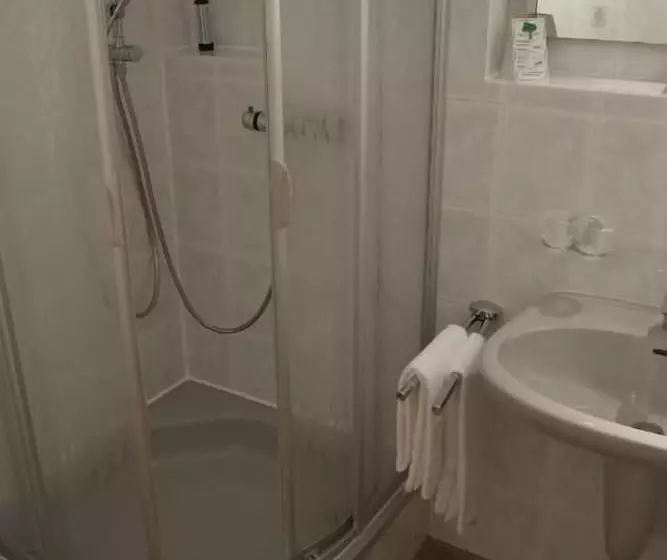 ホテル Brunnenhof International