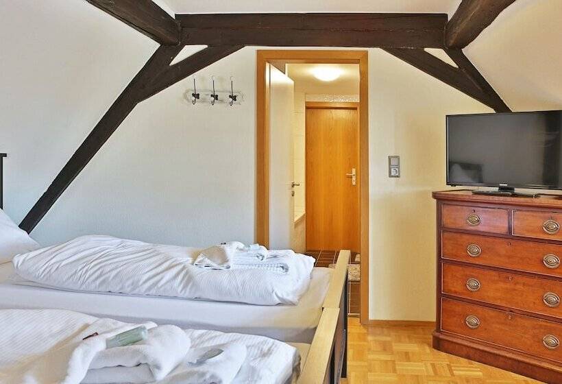 هتل Das Lamm Heidelberg