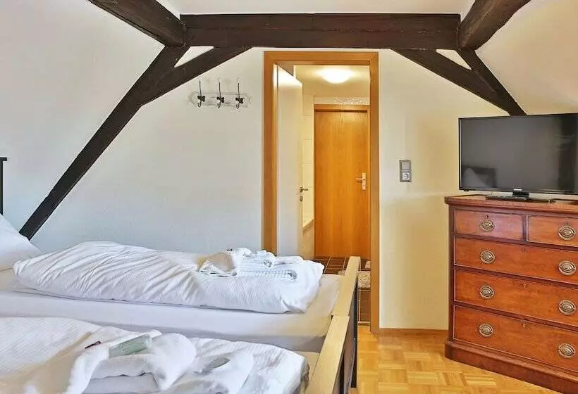 酒店 Das Lamm Heidelberg