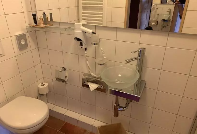 בית מלון כפרי Goldner Löwe