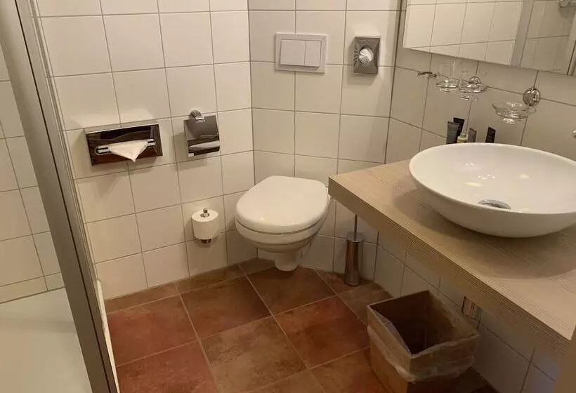 בית מלון כפרי Goldner Löwe