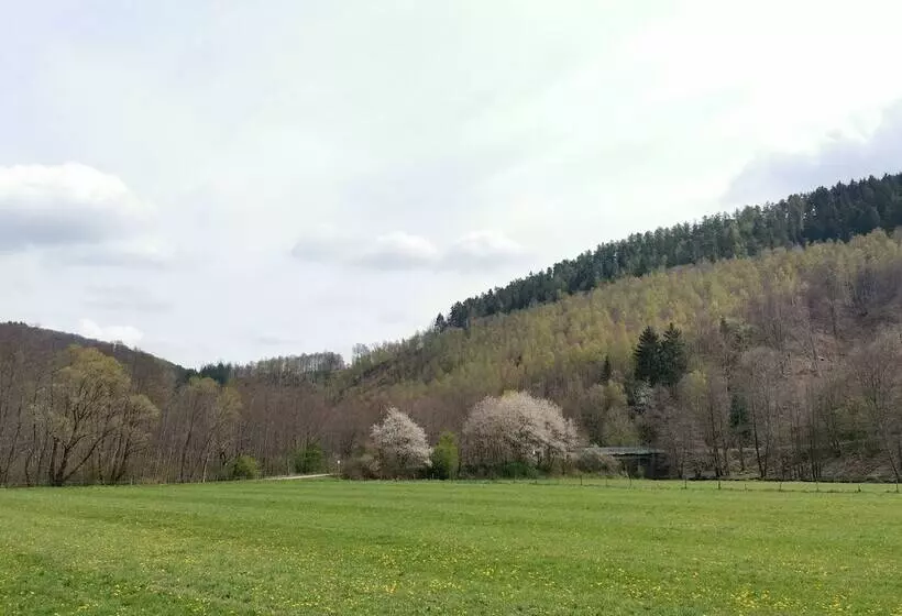 Отель Haus Am See