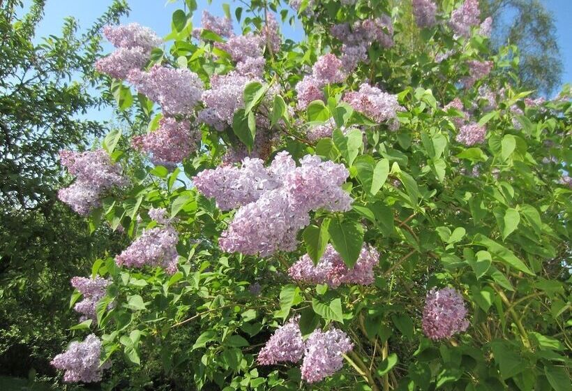 호텔 Haus Nussbaum