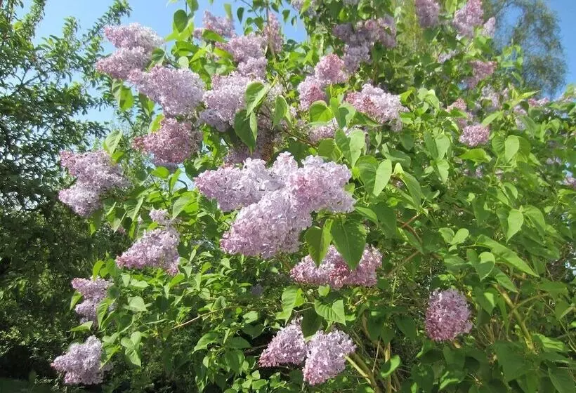 فندق Haus Nussbaum