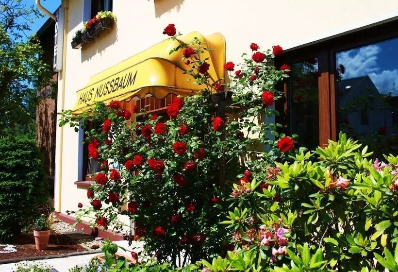 فندق Haus Nussbaum