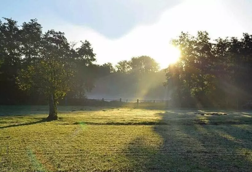 Landhotel Linden Am Venekotensee