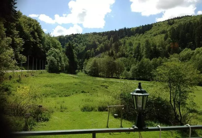 酒店 Pension Zum Paradies