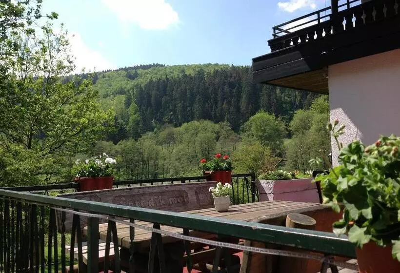 酒店 Pension Zum Paradies