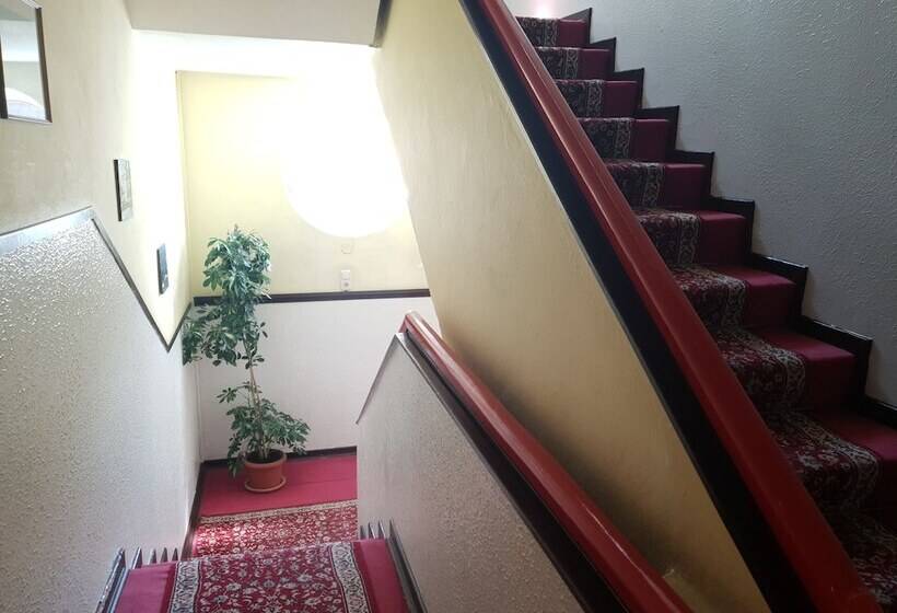 בית מלון כפרי Sud