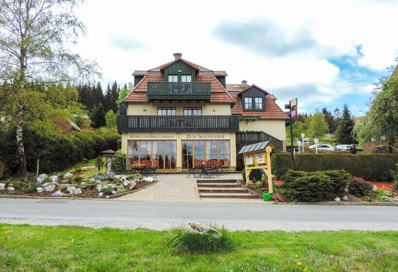 Hotelli Und Berggasthof Zum Sonnenhof