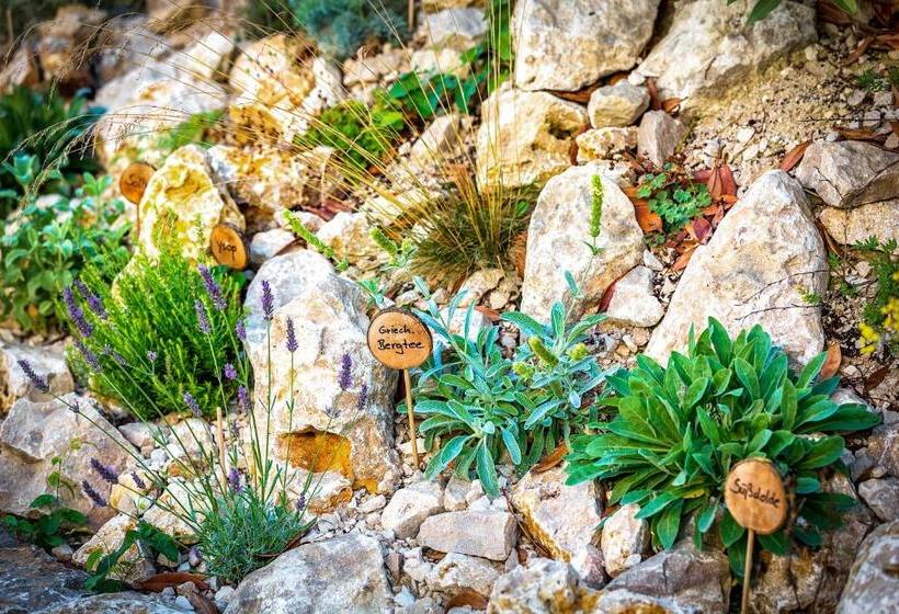 Kur  Und Wellnesshotel Förch