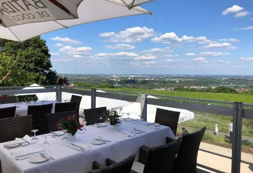 בית מלון כפרי Favorite Park