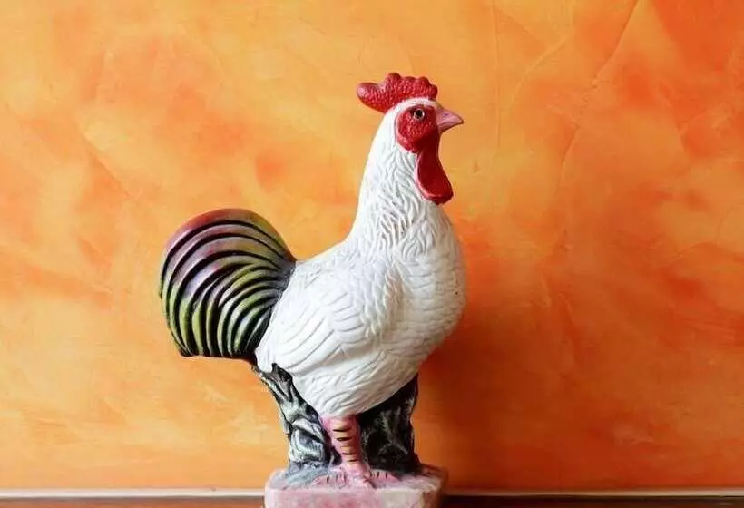 Отель Goldener Hahn