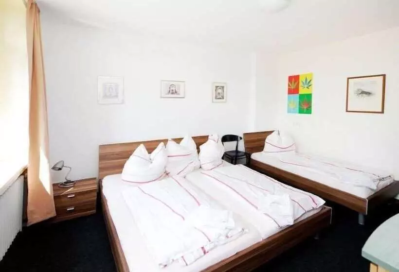 Отель Goldener Hahn