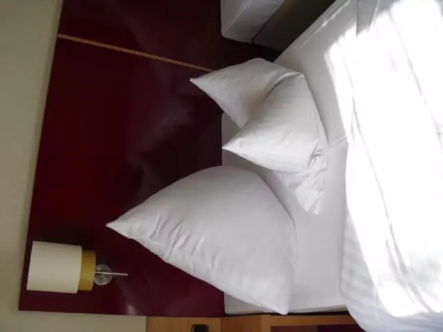 ホテル Paffhausen