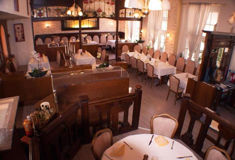 酒店 Stadt Emmerich