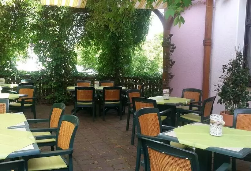 בית מלון כפרי Teich