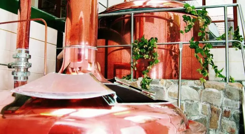 Отель Wasserburg Zu Gommern