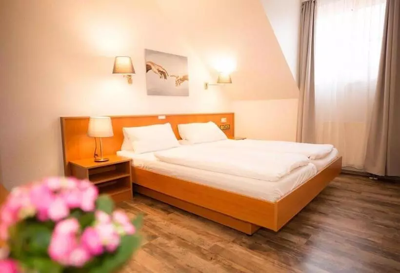 酒店 Weiße Mühle