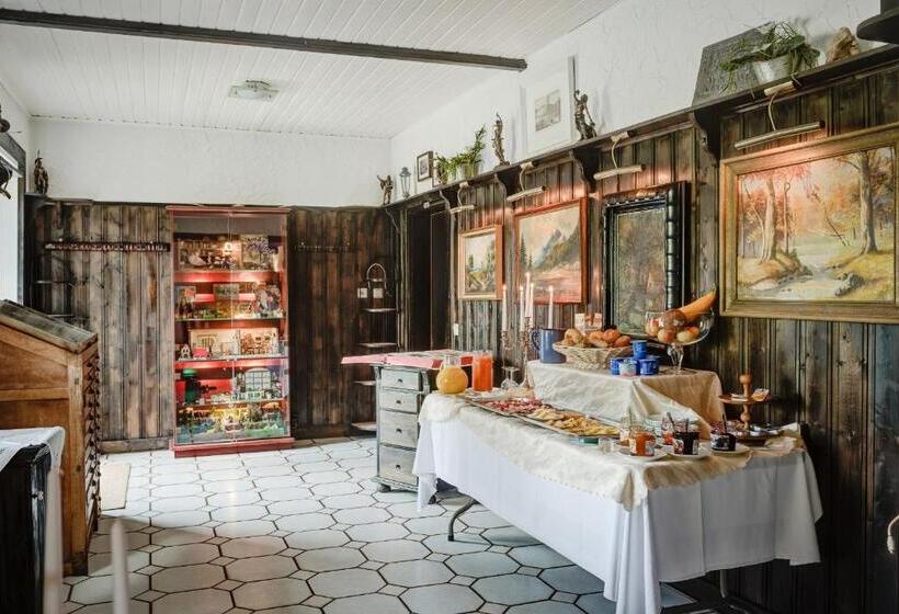 酒店 Weiße Mühle