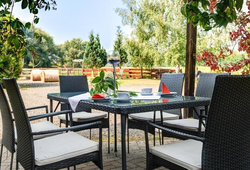 酒店 Weiße Mühle