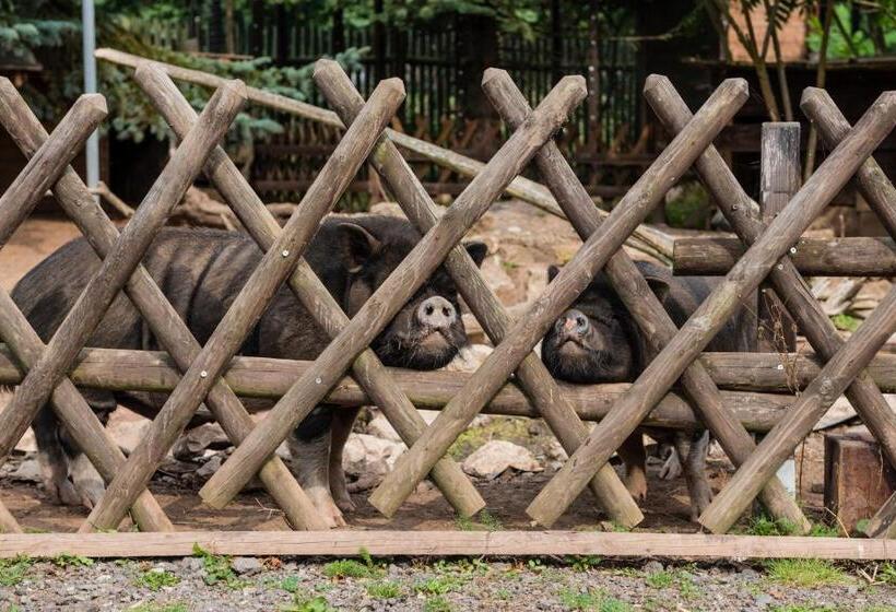 酒店 Weiße Mühle