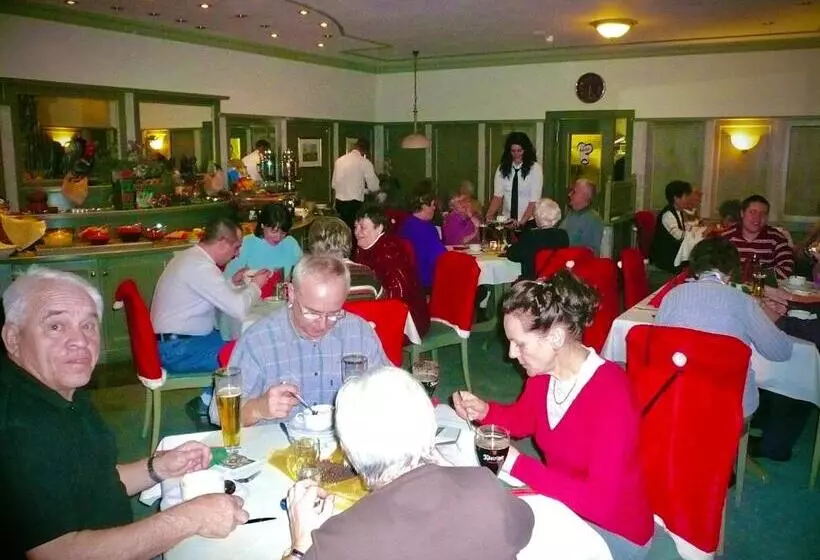 Meister Bär Hotel Vogtland