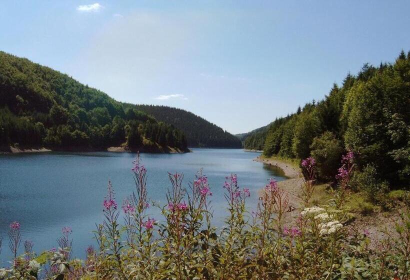 بنسيون Drei Kronen