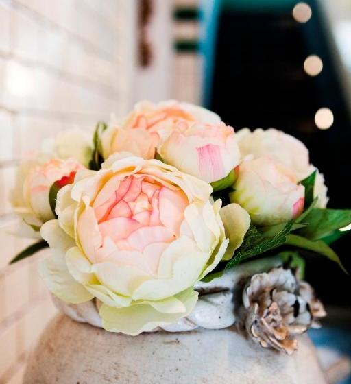 Schottennester Schlafen An Der Krämerbrücke