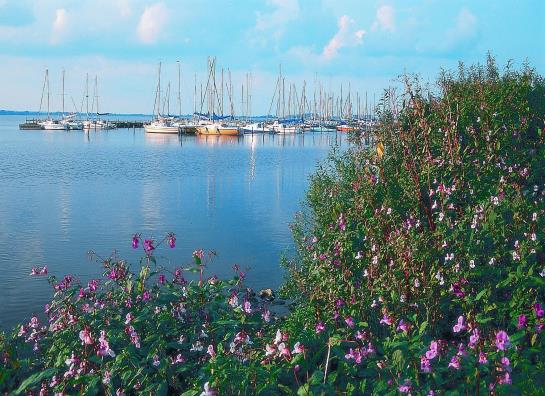Dümmerhotel Strandlust