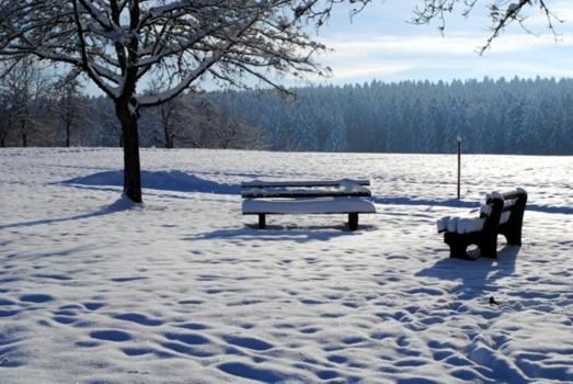 酒店 Breitenbacher Hof