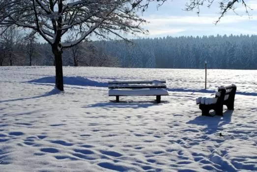 호텔 Breitenbacher Hof