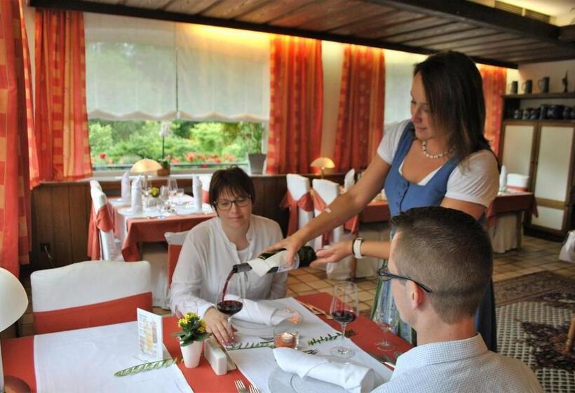 酒店 Breitenbacher Hof