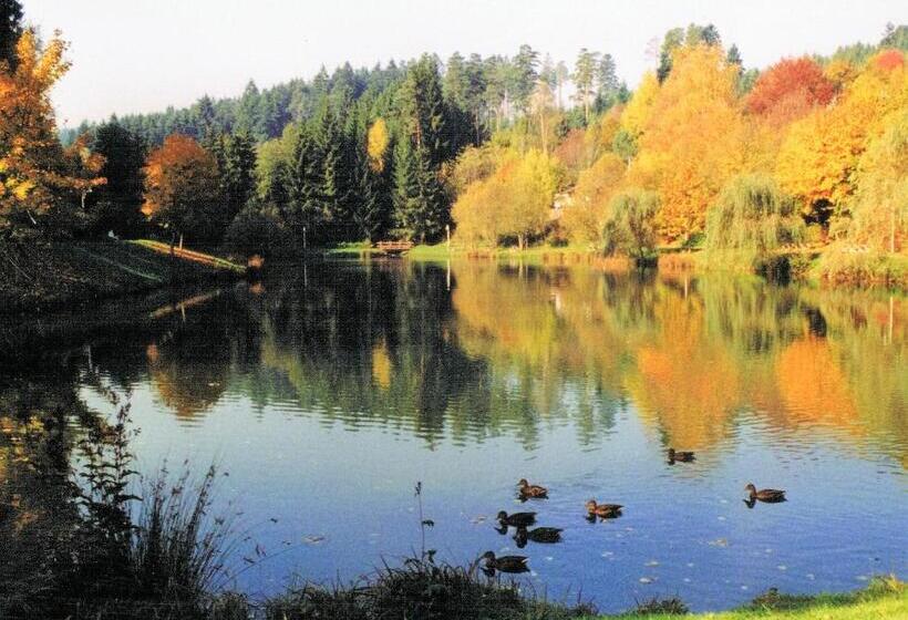 酒店 Breitenbacher Hof