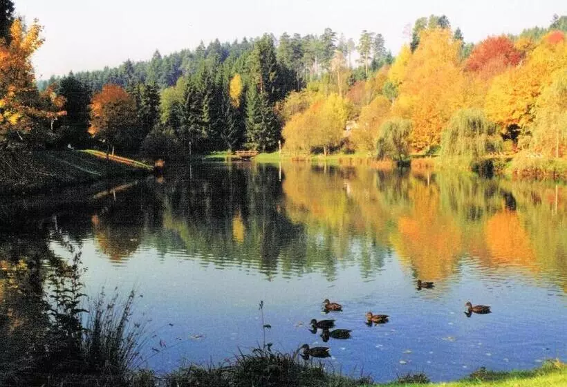 호텔 Breitenbacher Hof