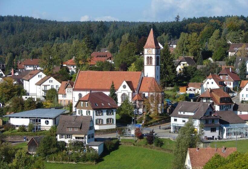 酒店 Breitenbacher Hof