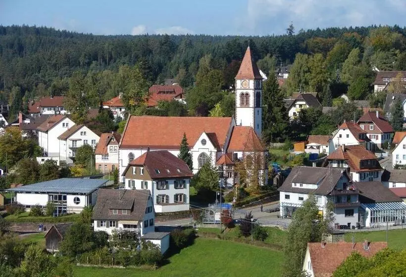 호텔 Breitenbacher Hof