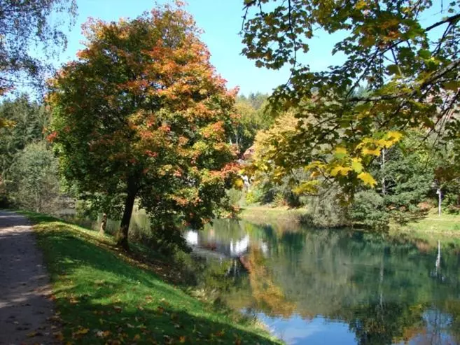 호텔 Breitenbacher Hof