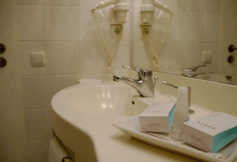 Business Hotel Artes