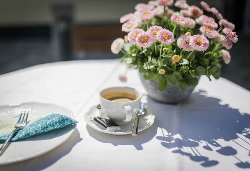 호텔 Gasthaus & Pension Mohren