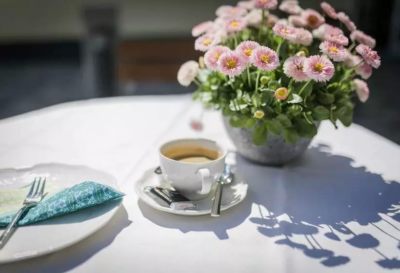 호텔 Gasthaus & Pension Mohren