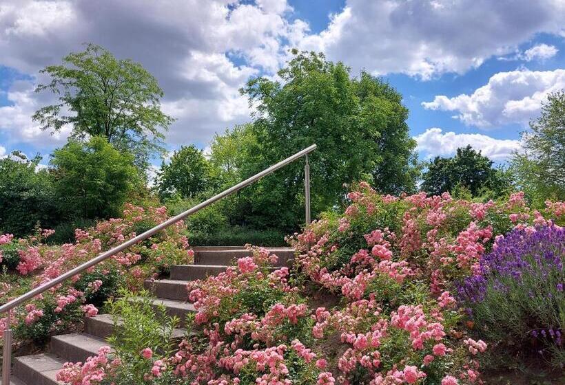 Отель Heinrich Pesch