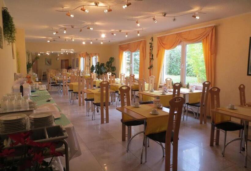 Отель Merkur Garni