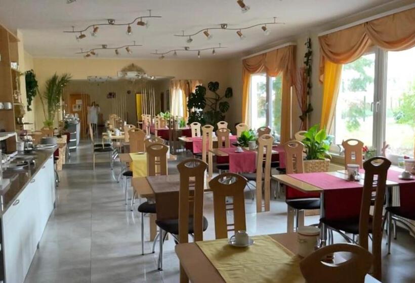 Отель Merkur Garni