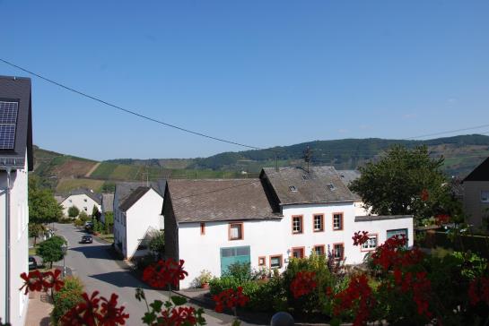 Hotel Wappen Von Leiwen