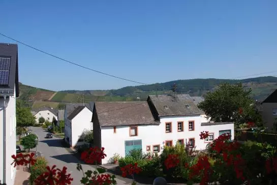 Hotel Wappen Von Leiwen