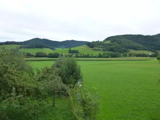 Hotelli Zum Hirschen