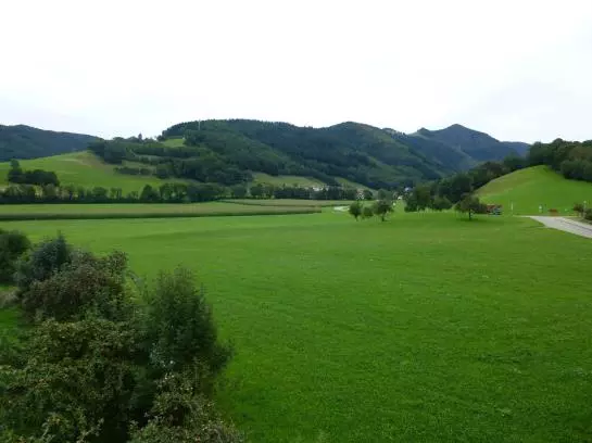 Hotelli Zum Hirschen