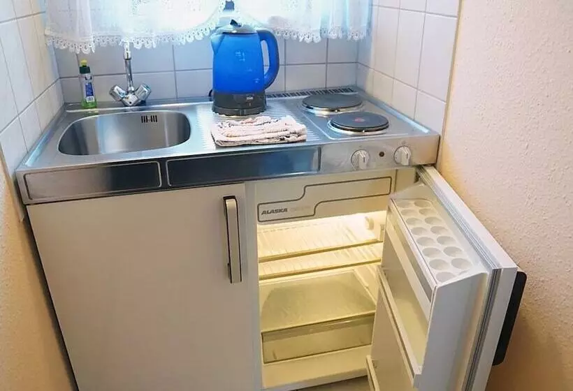 Hotel Restaurant Und Pension Zur Wildgans